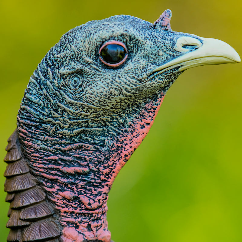 Avian-X - HDR Hen Turkey Decoy
