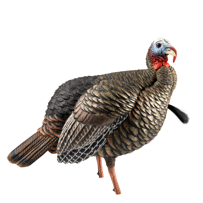Avian-X - HDR Jake Turkey Decoy