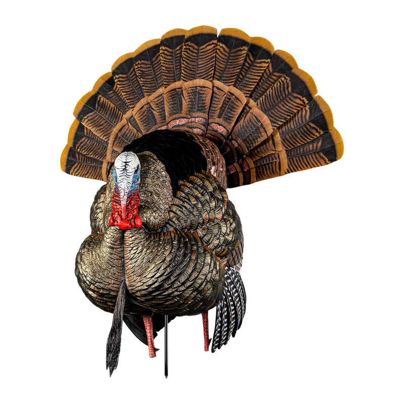 Avian-X - AVX HDR Strutter Turkey Decoy