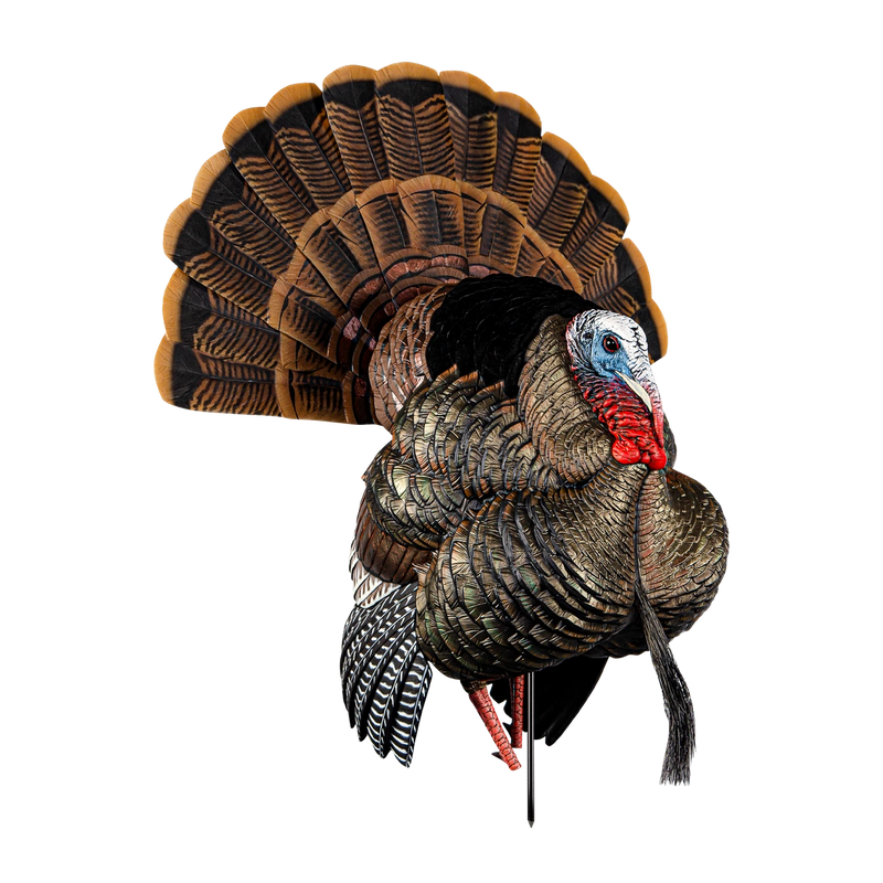 Avian-X - AVX HDR Strutter Turkey Decoy