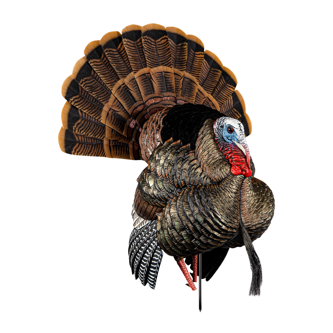 Turkey Decoys