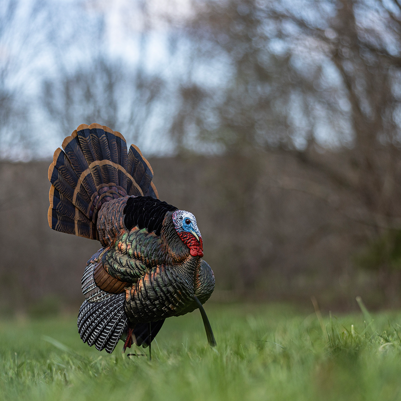 Avian-X - AVX HDR Strutter Turkey Decoy