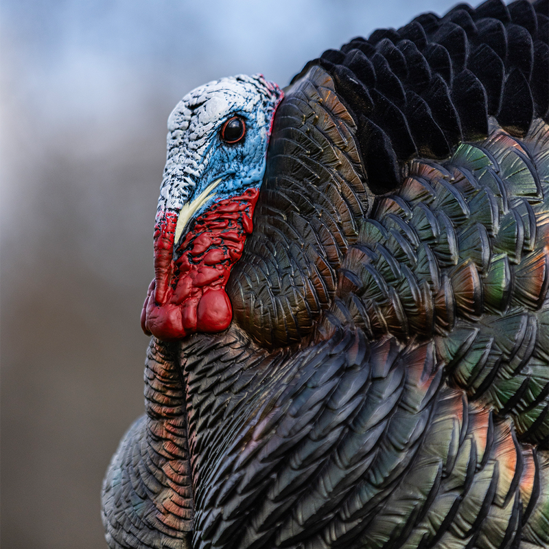 Avian-X - AVX HDR Strutter Turkey Decoy