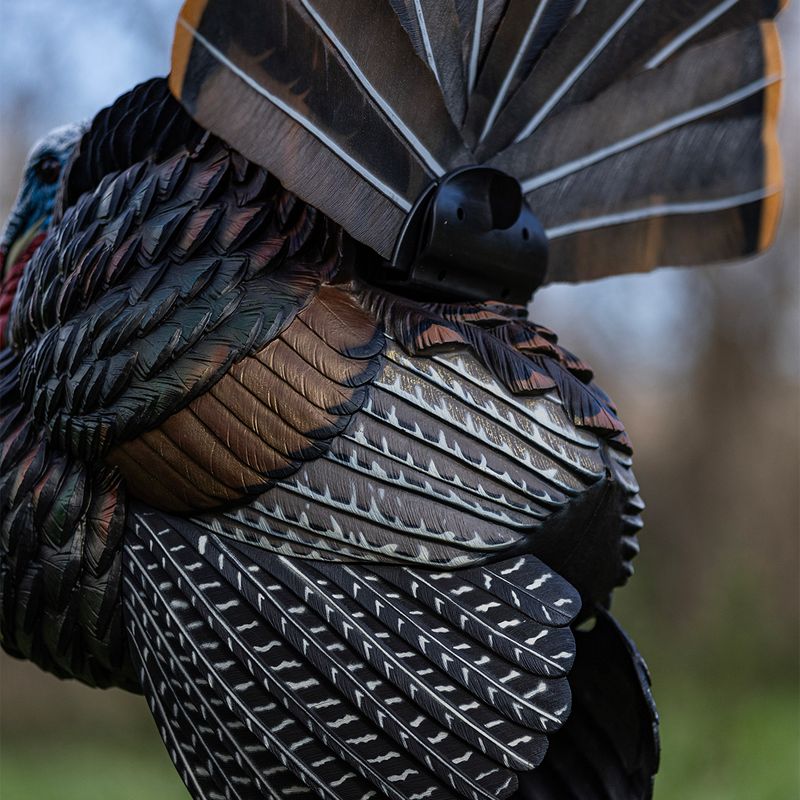 Avian-X - AVX HDR Strutter Turkey Decoy