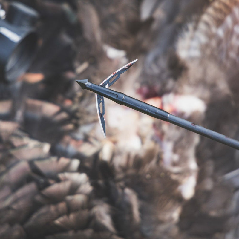 NAP - Killzone RX 2.3" Trophy Tip Broadhead 3/CT - Broadheads