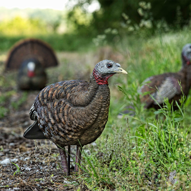 Avian-X - LCD Breeder Hen Turkey Decoy