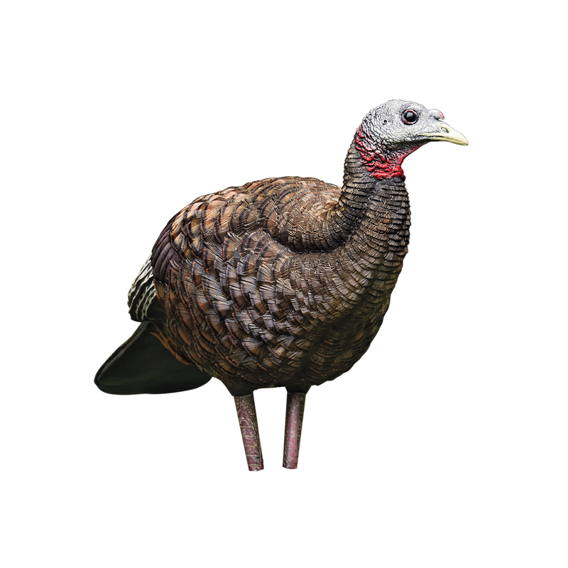 Avian-X - LCD Breeder Hen Turkey Decoy