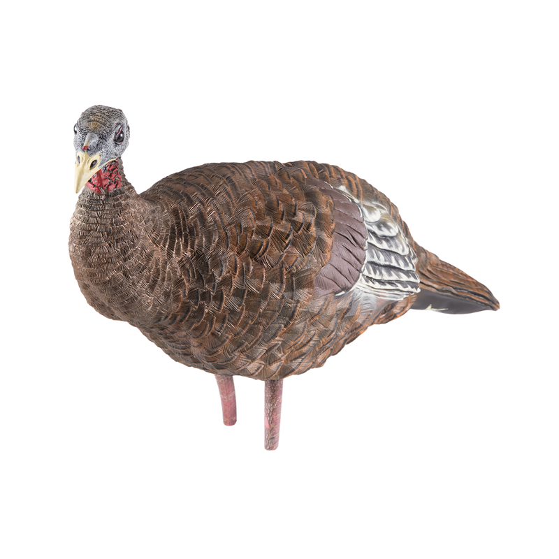 Avian-X - LCD Breeder Hen Turkey Decoy