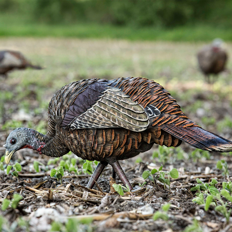 Avian-X - LCD Feeder Hen Turkey Decoy