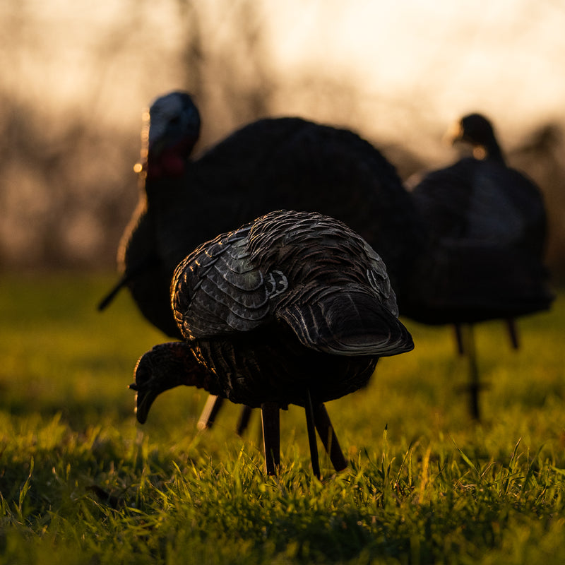 Avian-X - LCD Feeder Hen Turkey Decoy