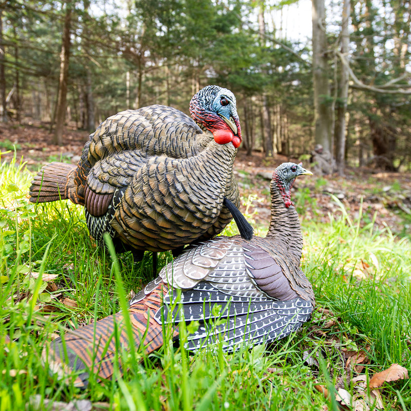 Avian-X - LCD Half-Strut Jake Turkey Decoy