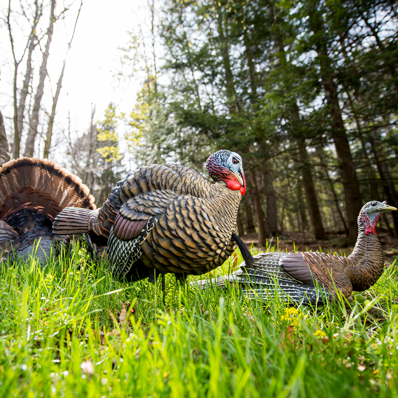 Avian-X - LCD Half-Strut Jake Turkey Decoy