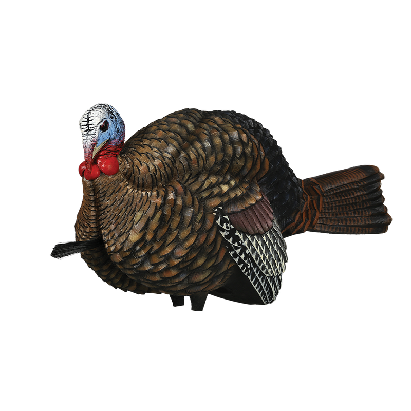 Avian-X - LCD Half-Strut Jake Turkey Decoy