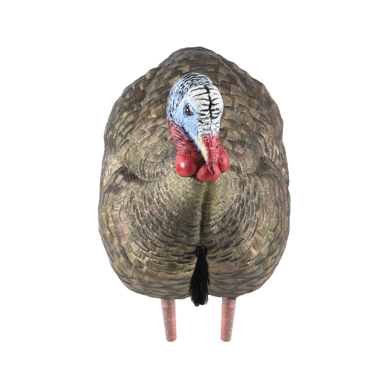 Avian-X - LCD Half-Strut Jake Turkey Decoy