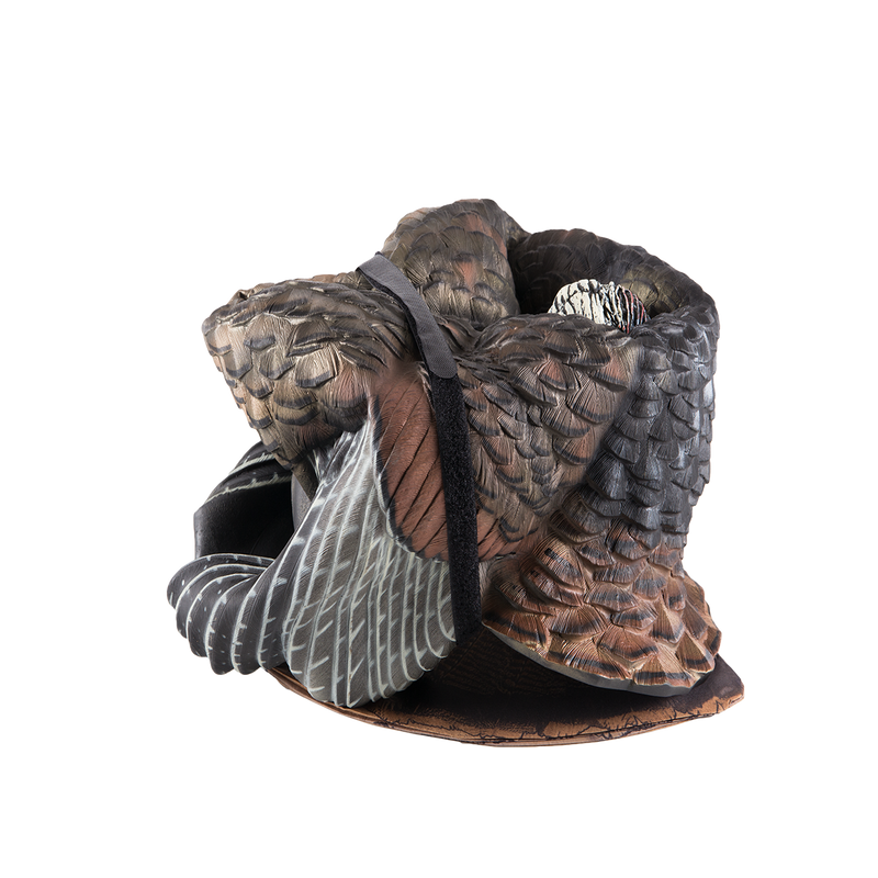 Avian-X - LCD Half-Strut Jake Turkey Decoy