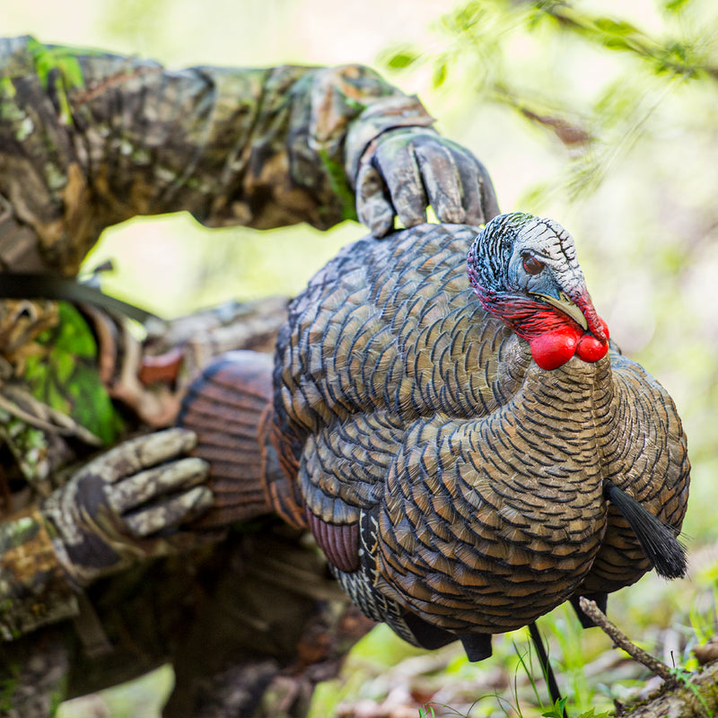 Avian-X - LCD Half-Strut Jake Turkey Decoy