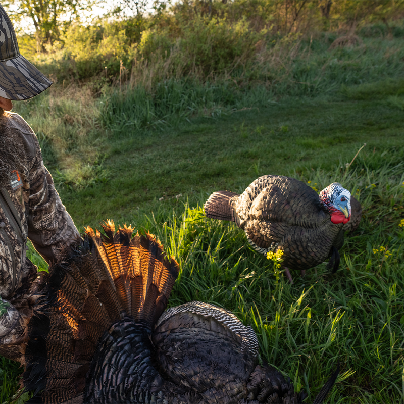 Avian-X - LCD Half-Strut Jake Turkey Decoy