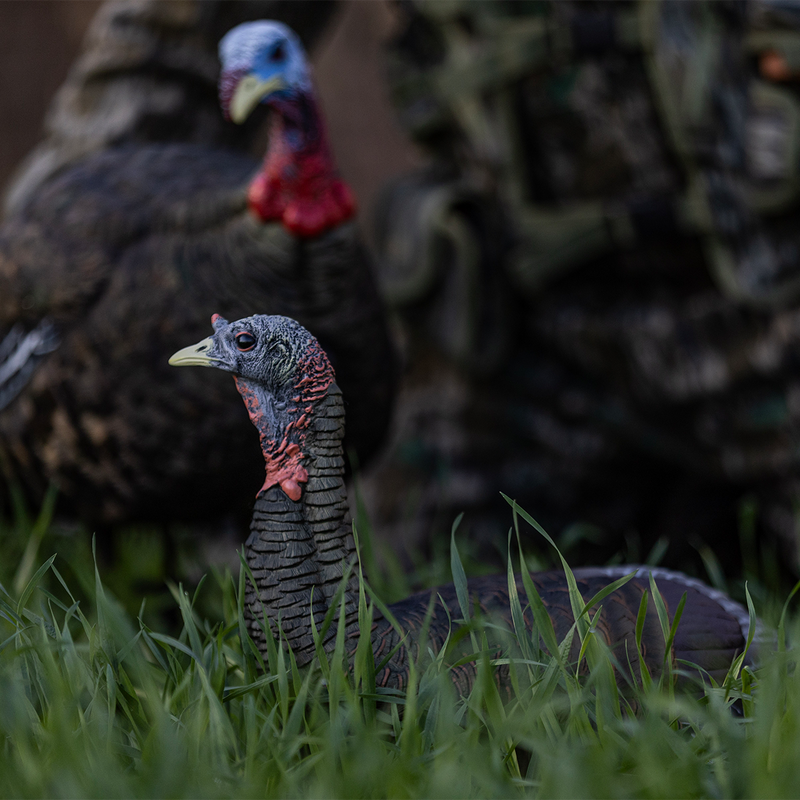 Avian-X - LCD Laydown Hen Turkey Decoy