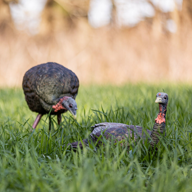 Avian-X - LCD Laydown Hen Turkey Decoy