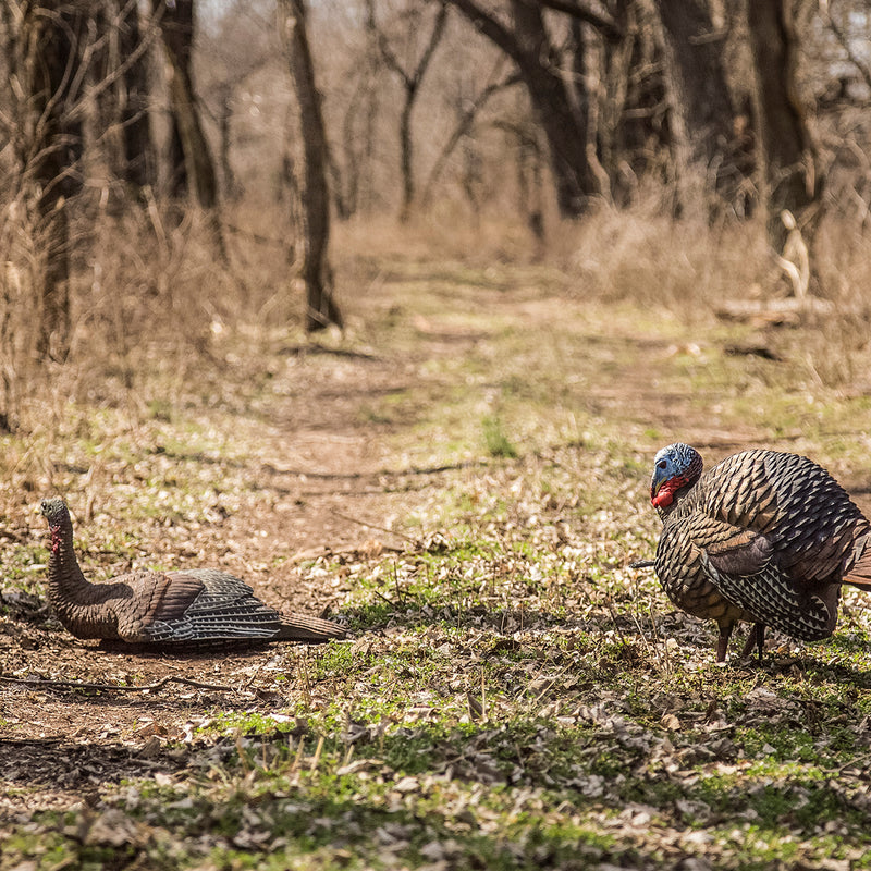 Avian-X - LCD Laydown Hen Turkey Decoy