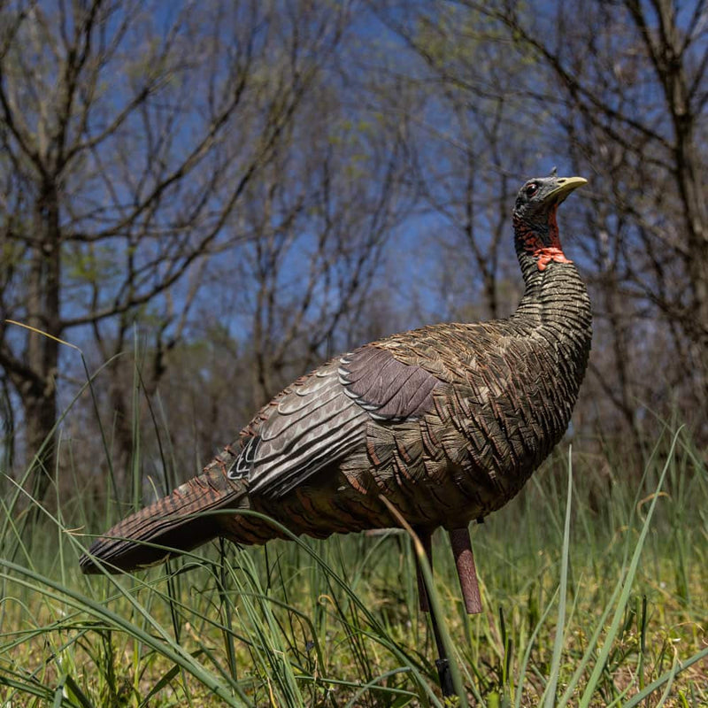 Avian-X - LCD Lookout Hen Turkey Decoy