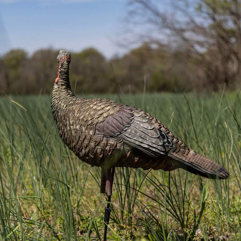 Avian-X - LCD Lookout Hen Turkey Decoy