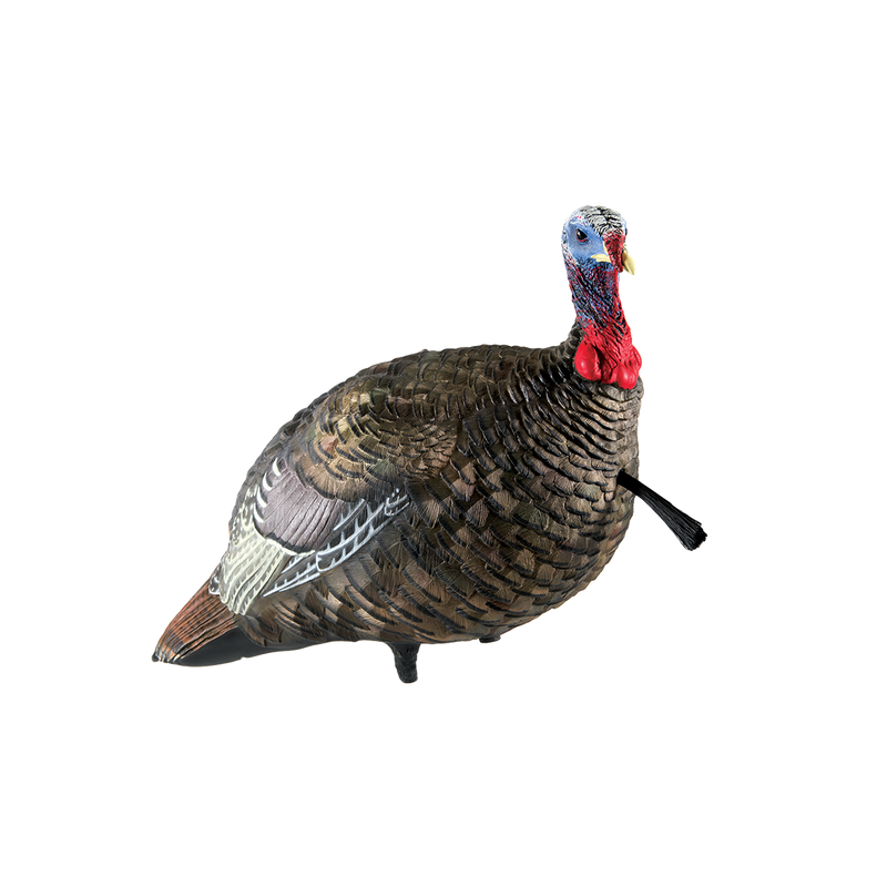 Avian-X - LCD Quarter-Strut Jake Turkey Decoy
