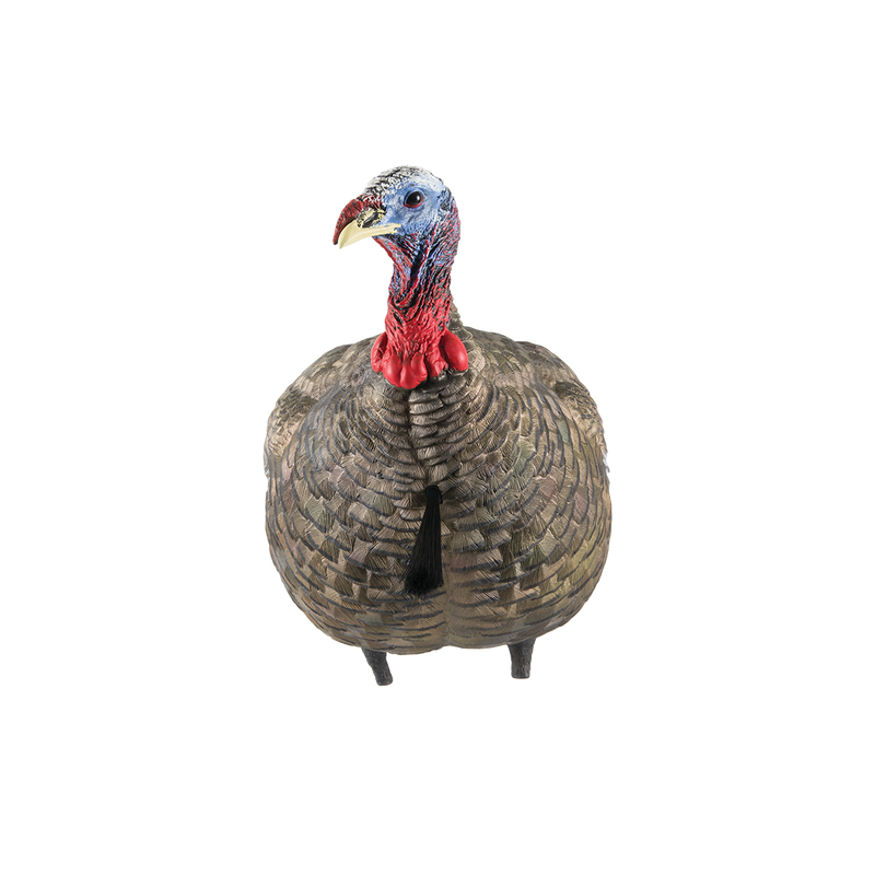 Avian-X - LCD Quarter-Strut Jake Turkey Decoy