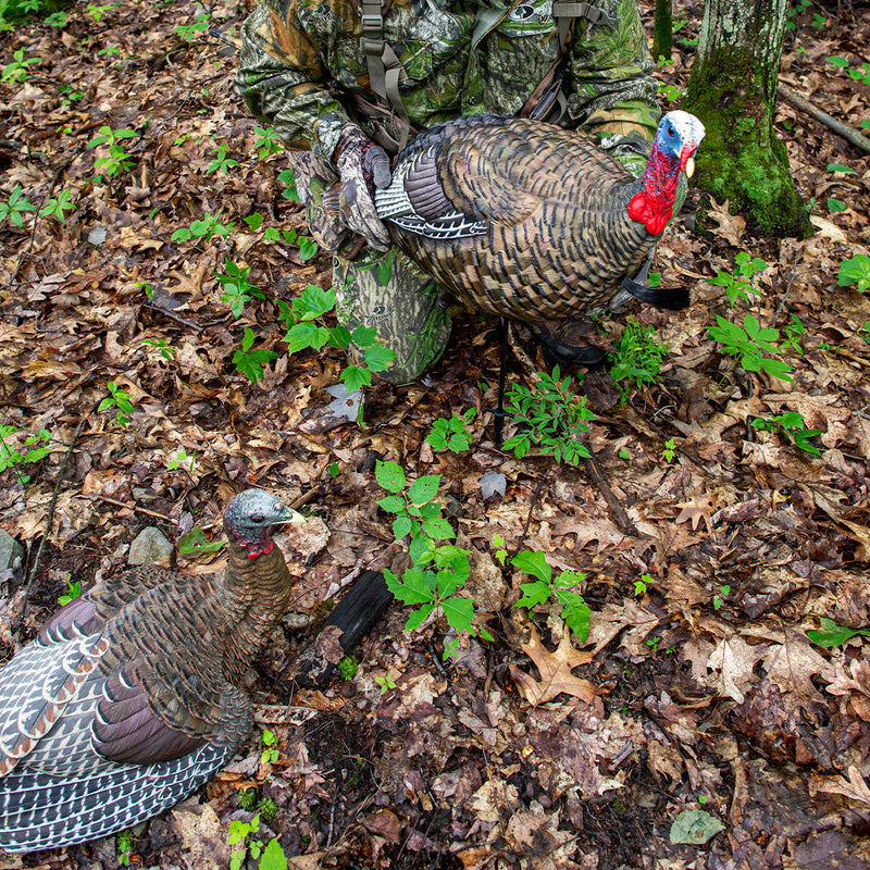 Avian-X - LCD Quarter-Strut Jake Turkey Decoy