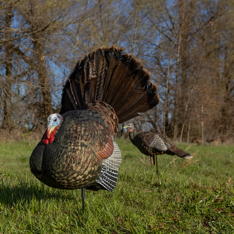 Avian-X - LCD Strutter Turkey Decoy