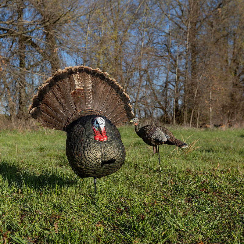 Avian-X - LCD Strutter Turkey Decoy