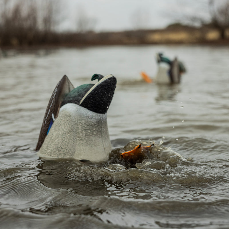 Avian-X - Power Butt Kicker Mallard Drake