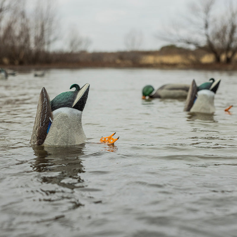 Avian-X - Power Butt Kicker - Pintail Drake