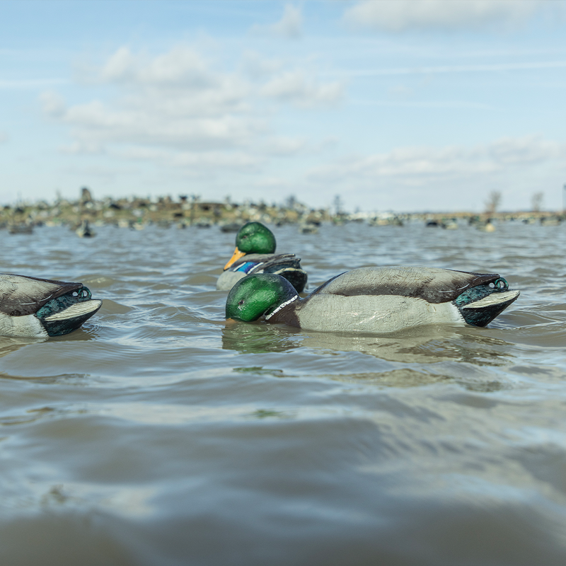 Avian-X - Power Shaker Mallard Drake Surface Feeder
