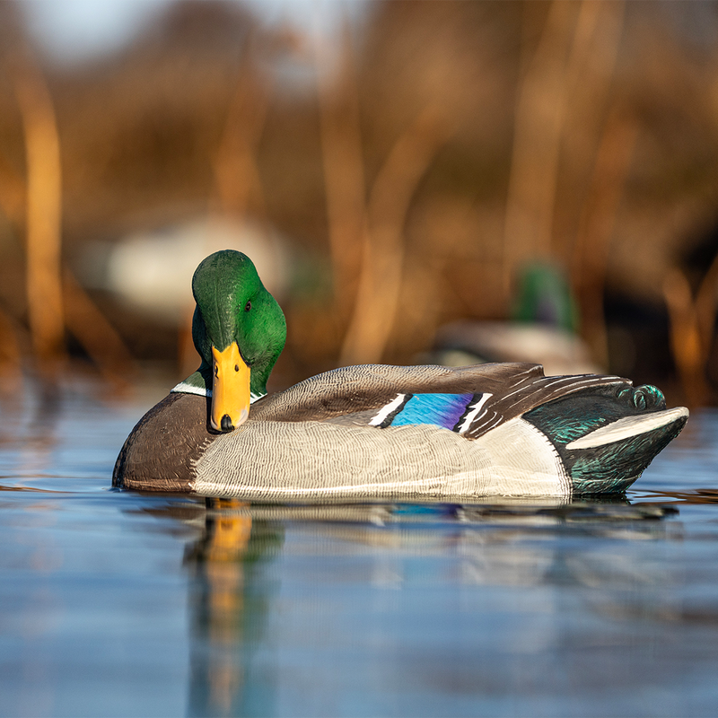 Avian-X - Power Shaker Mallard Drake Preener