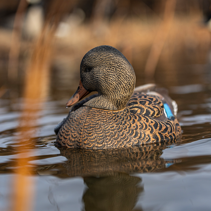 Avian-X - Power Shaker Mallard Hen Preener