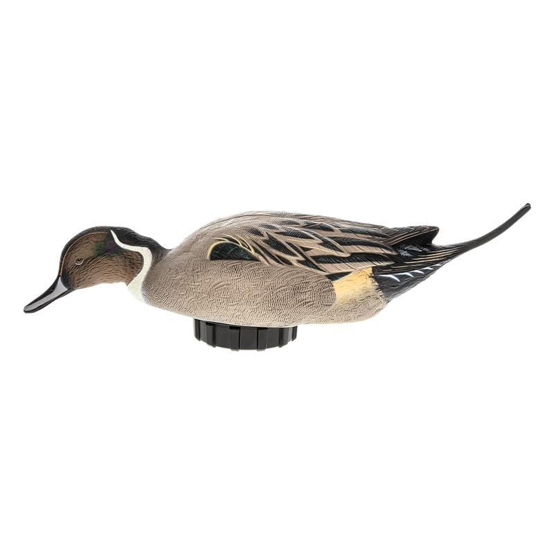 Avian-X - Power Shaker Pintail Surface Feeder