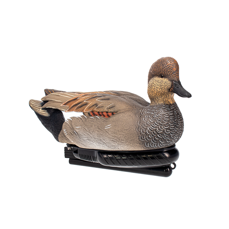 Avian-X - Power Swimmer Gadwall Drake
