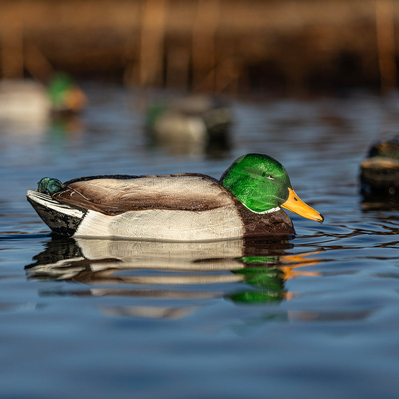 Avian-X - Power Swimmer Mallard Drake