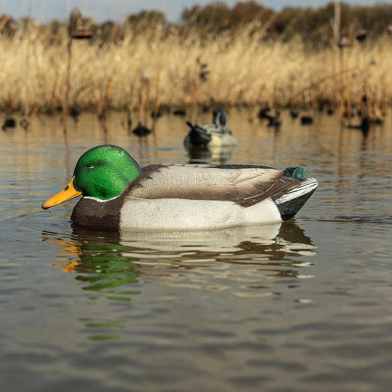 Avian-X - Power Swimmer Mallard Drake