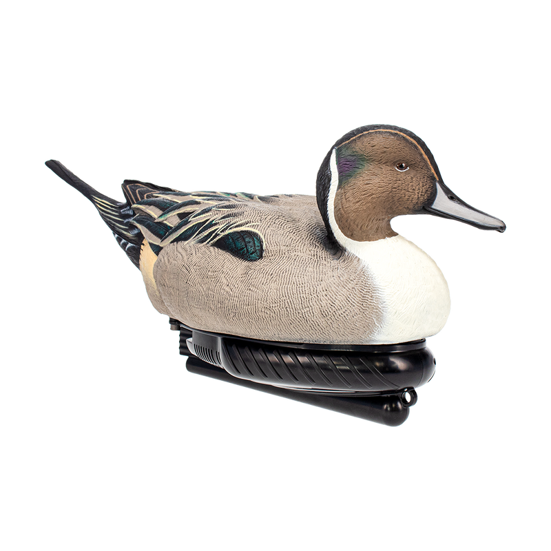 Avian-X - Power Swimmer Pintail Drake