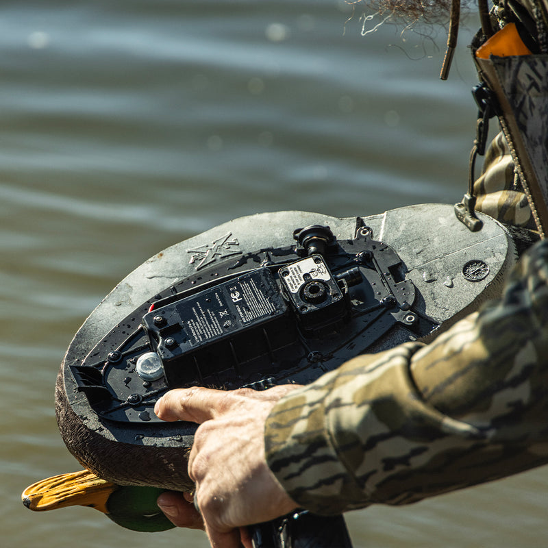 Avian-X - Power Swimmer Gadwall Drake