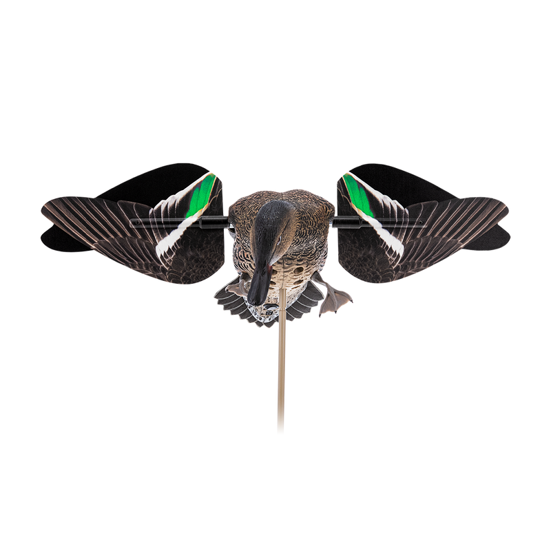 Avian-X - Powerflight Hen Green-Winged Teal