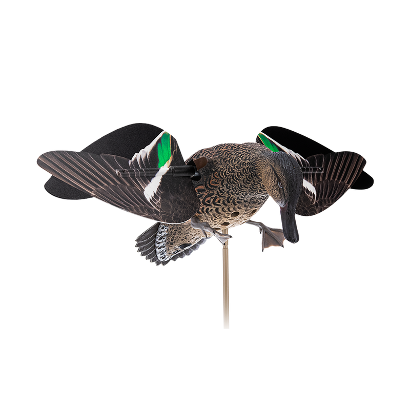 Avian-X - Powerflight Hen Green-Winged Teal