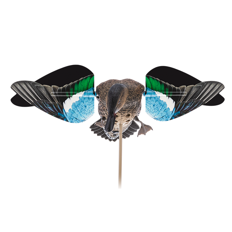 Avian-X - Powerflight Hen Green-Winged Teal