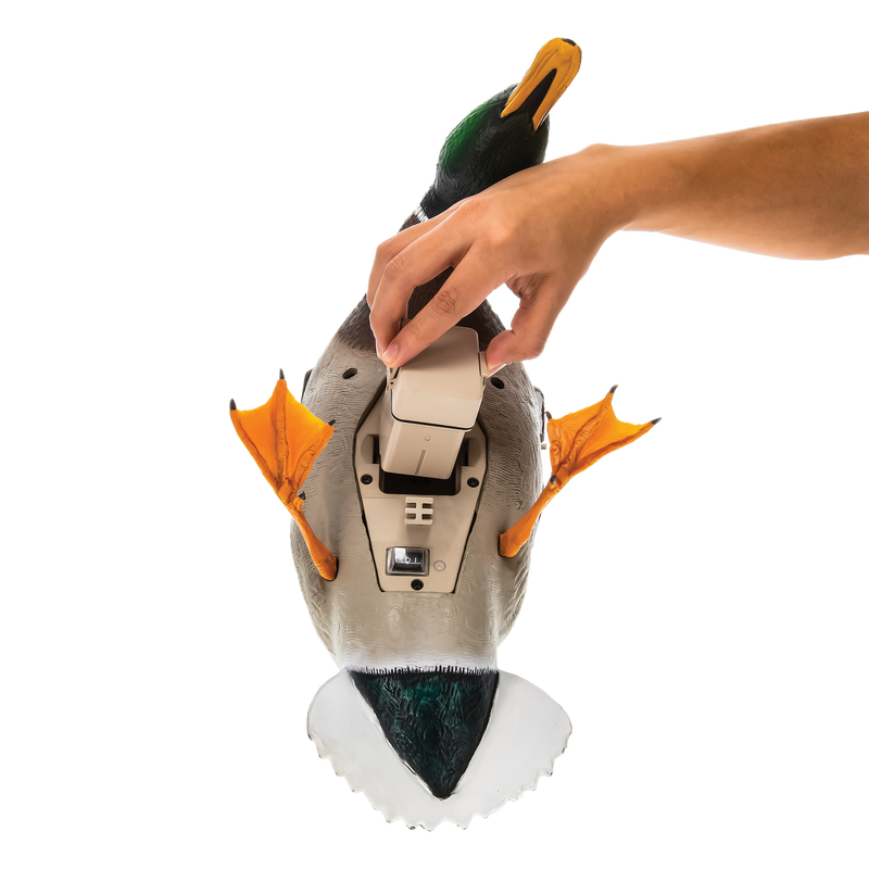 Avian-X - Powerflight Mallard - Spinning Wing Duck
