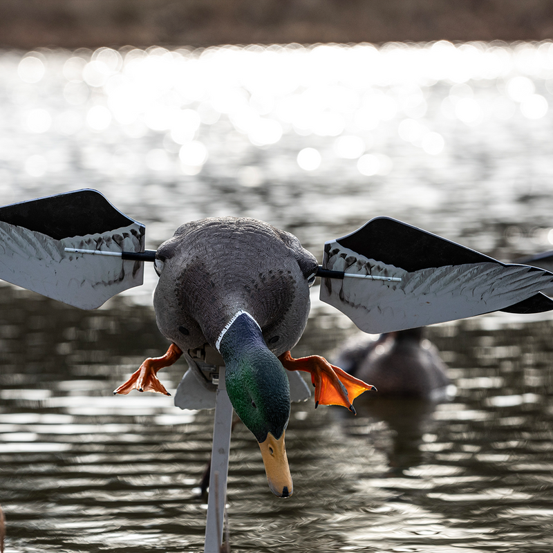 Avian-X - Powerflight Mallard - Spinning Wing Duck