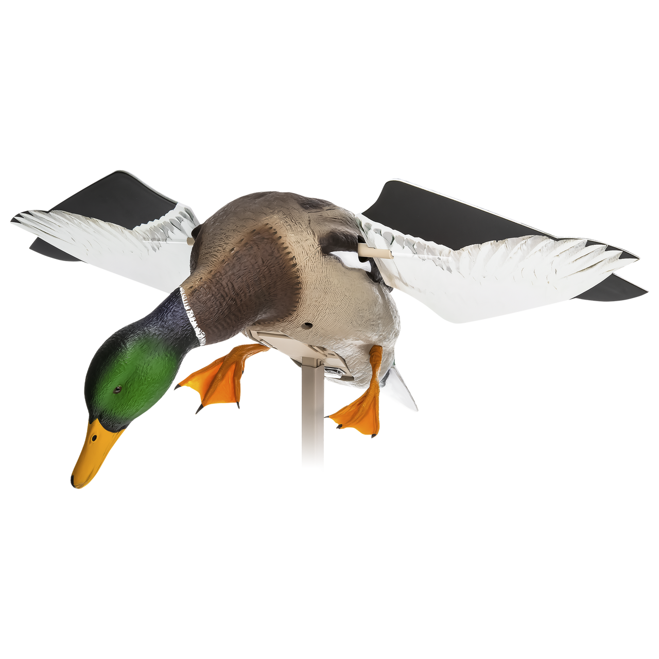 Motion Decoys