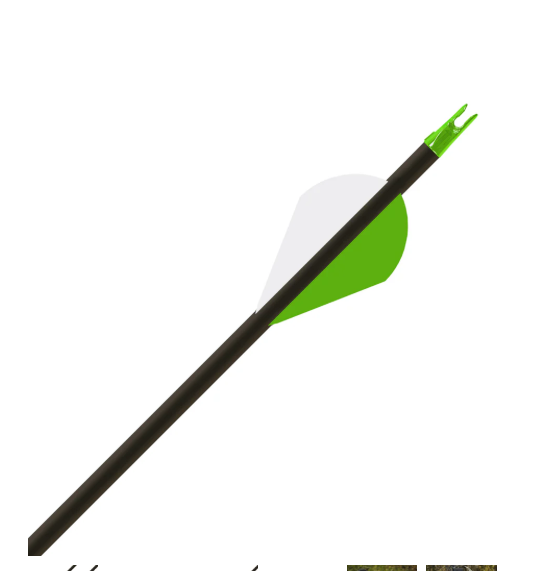 Gold Tip Hunter - XT 400 2in Raptor Vanes 1/2dz - Arrow Shafts