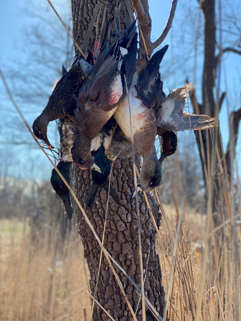 12 Point Hunting Blinds - 5X10 The Quack Shack: Duck Hunting Blind